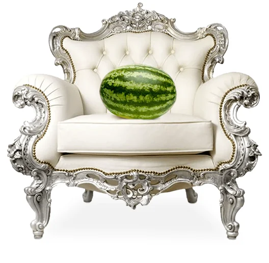 Studio de photographie Muret